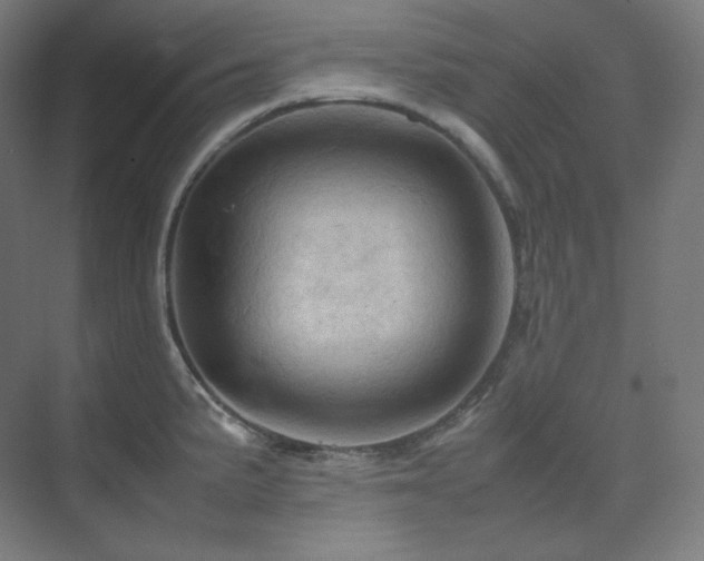 X0000075821191200609151204