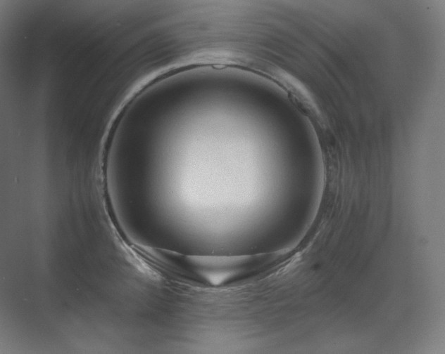 X0000075821192200609151204