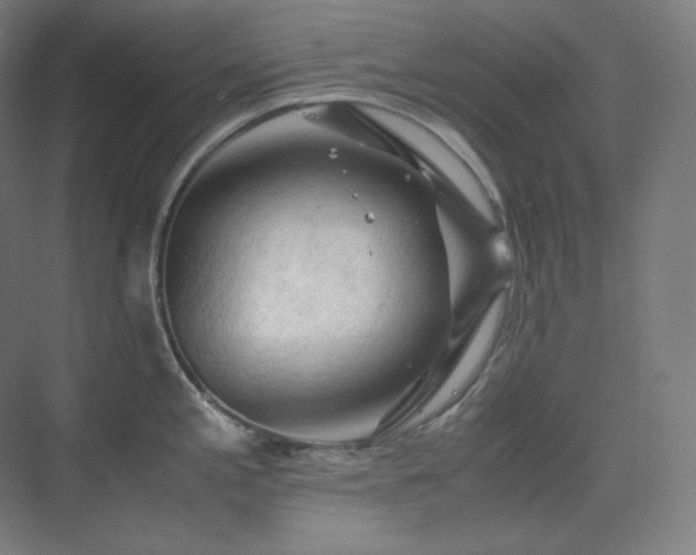 X0000075821197200609151204