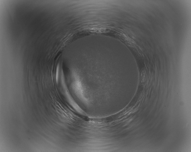 X0000075821202200609151203