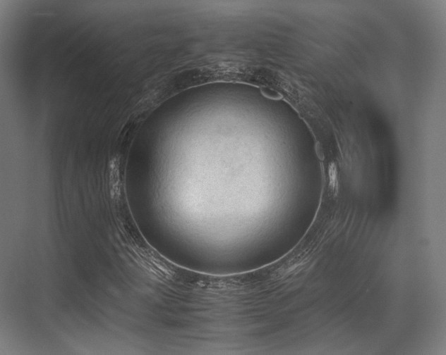 X0000075821203200609151203