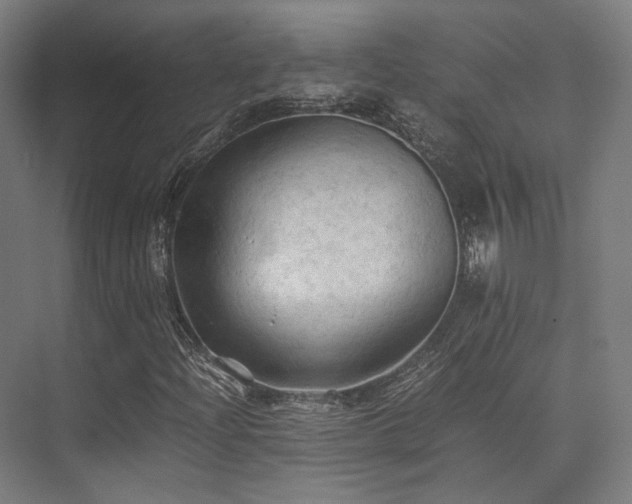 X0000075821204200609151203