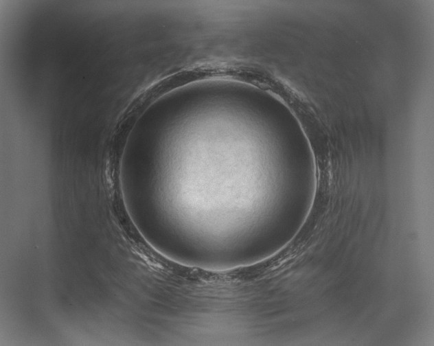 X0000075821206200609151203