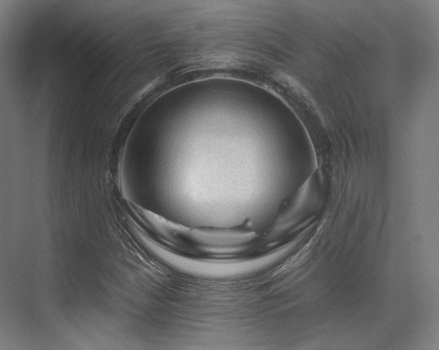 X0000075821210200609151203