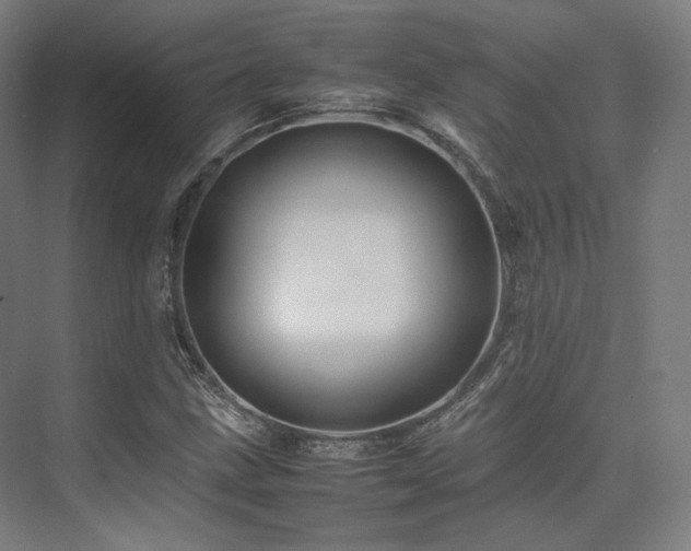 X0000075821211200609151203