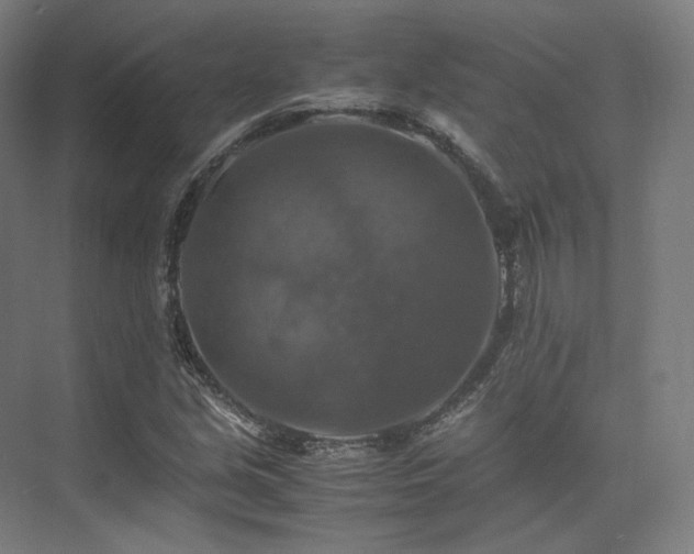 X0000075821213200609151203