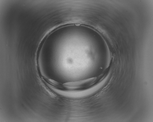 X0000075821230200609151204