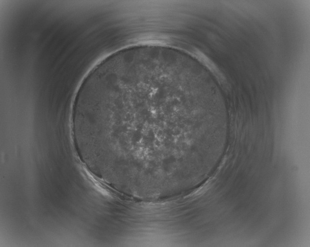 X0000075821240200609151204