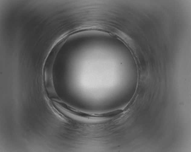 X0000075821242200609151204