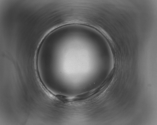 X0000075821246200609151204