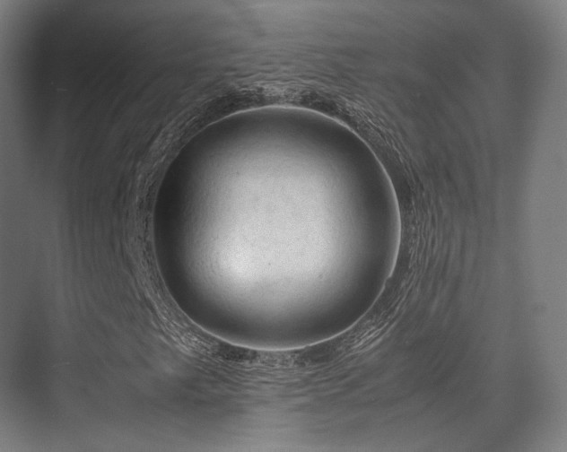 X0000075821249200609151203