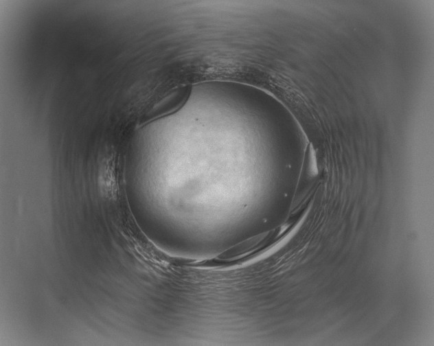 X0000075821250200609151203