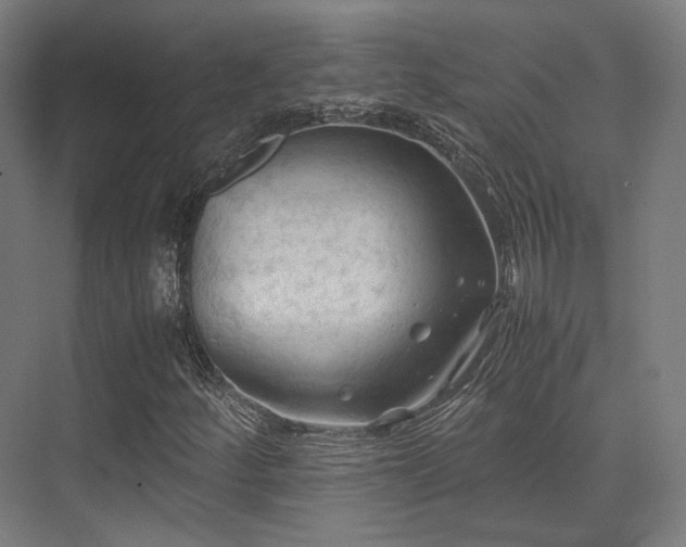 X0000075821252200609151203