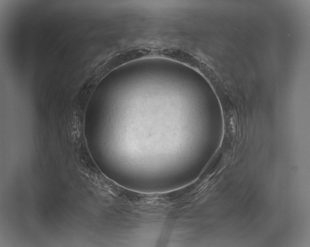 X0000075821253200609151203