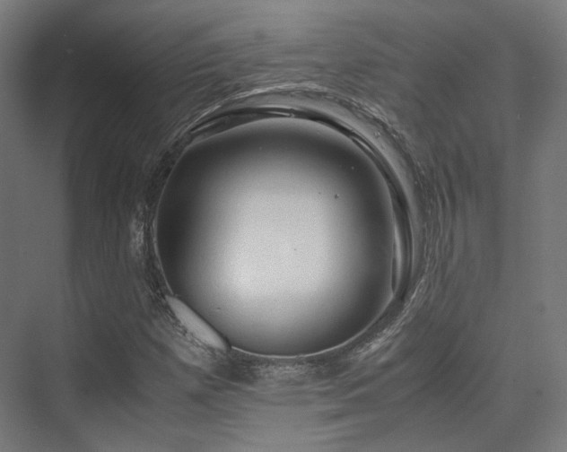 X0000075821257200609151203