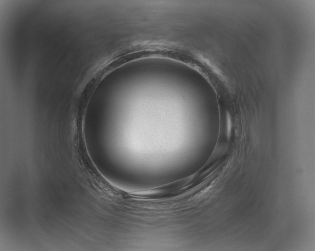 X0000075821261200609151203