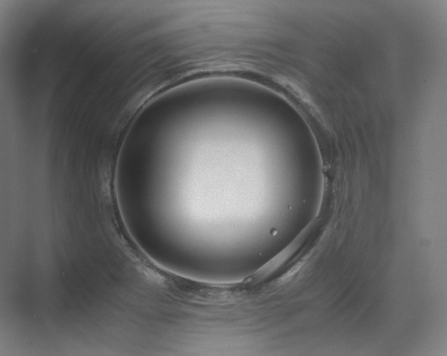 X0000075821273200609151203