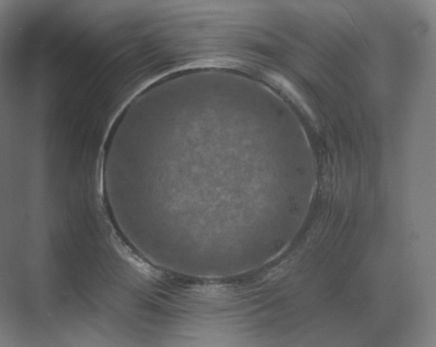 X0000075821276200609151203