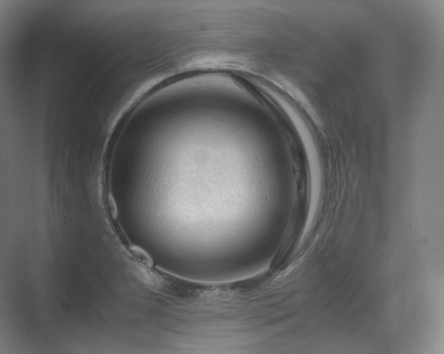 X0000075821277200609151203