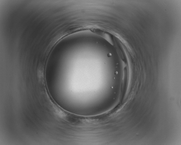 X0000075821281200609151203