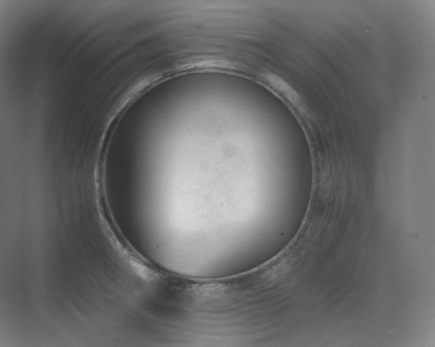 X0000075821282200609151203