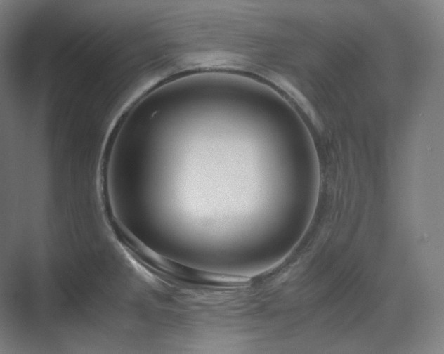 X0000075821285200609151203