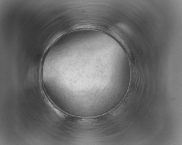 X0000075821290200609151203