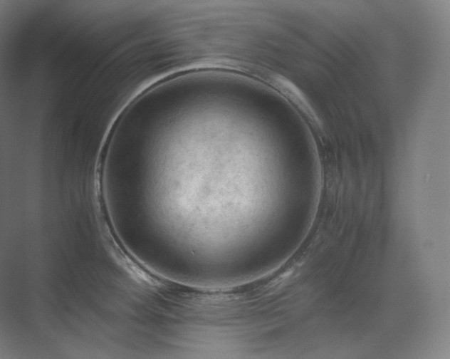 X0000075821292200609151203
