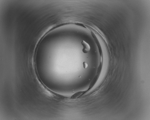 X0000075821293200609151203