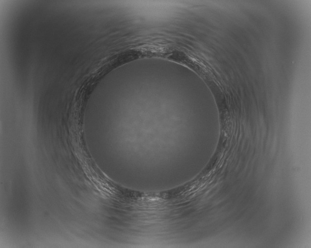 X0000075821297200609151202