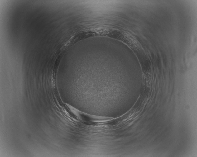 X0000075821298200609151202