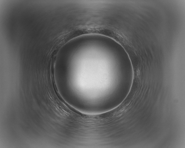 X0000075821300200609151202