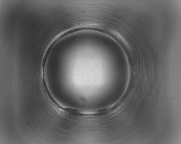 X0000075821324200609151202