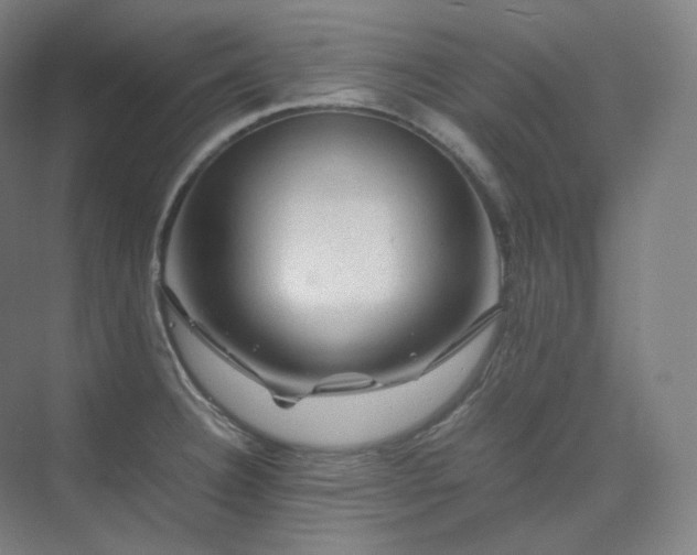 X0000075821332200609151202