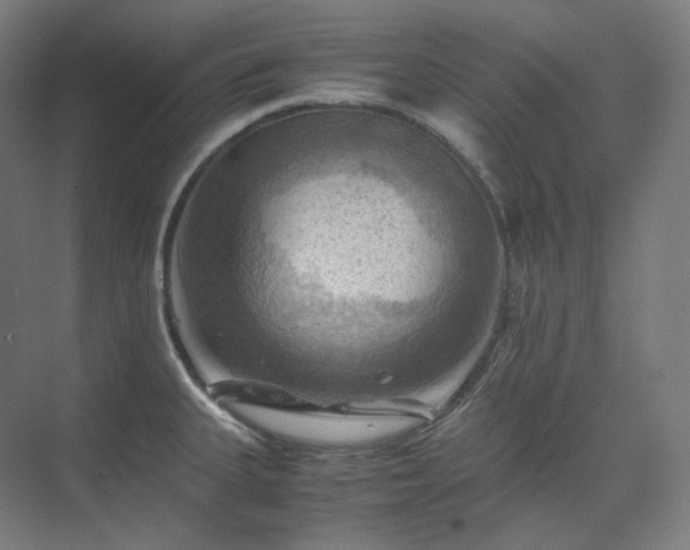 X0000075821335200609151202
