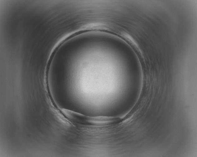 X0000075821336200609151202