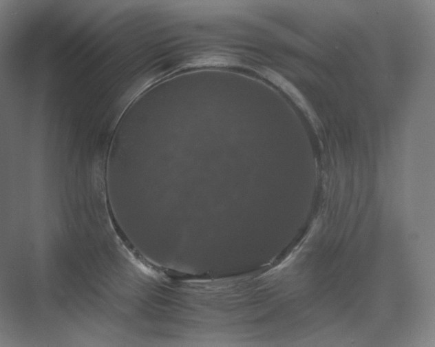 X0000075821337200609151202