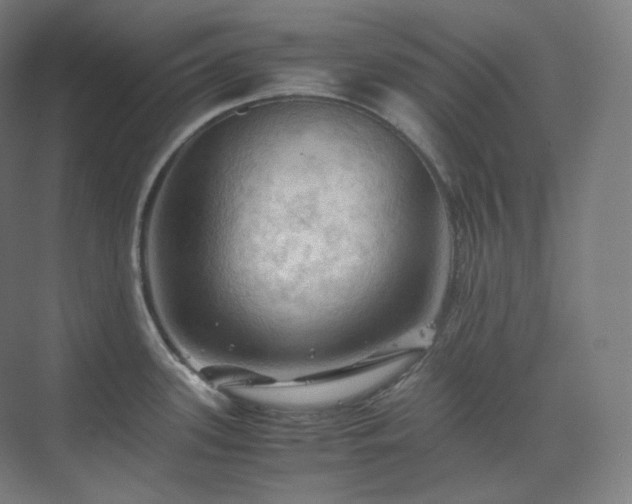 X0000075821339200609151202