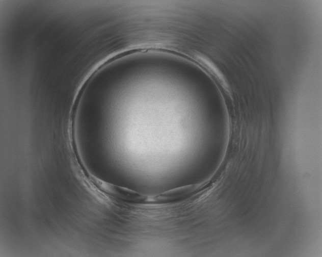 X0000075821340200609151202