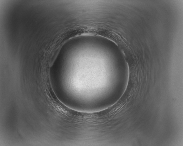 X0000075821345200609151202