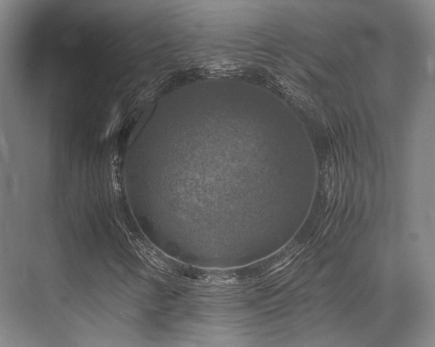 X0000075821346200609151202