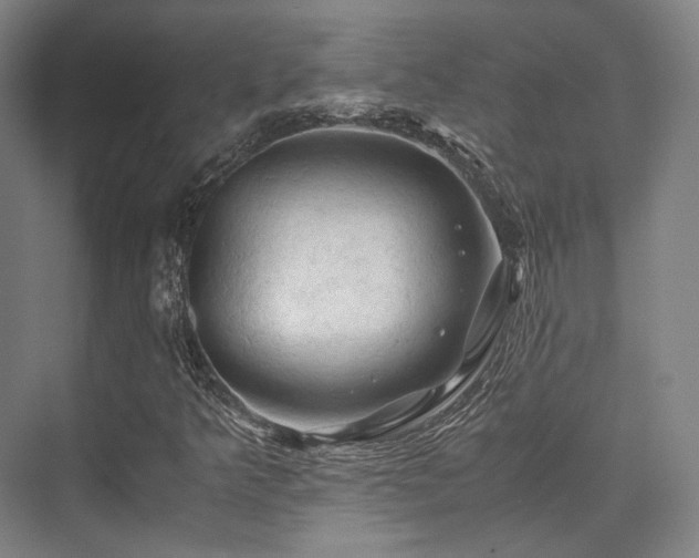 X0000075821349200609151202