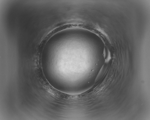 X0000075821352200609151202