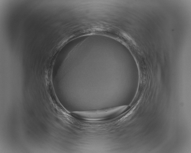 X0000075821353200609151201