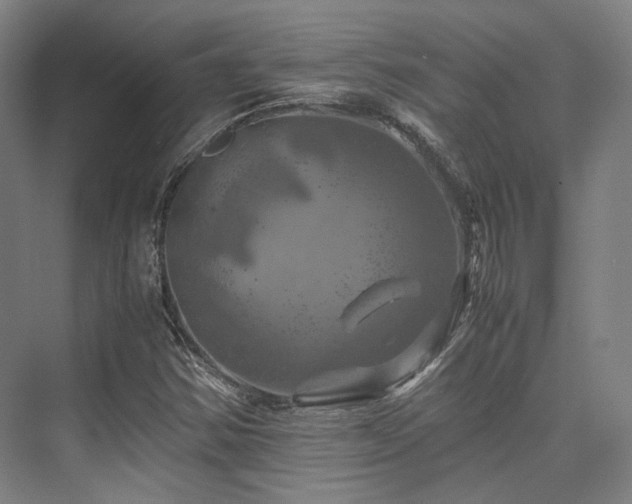 X0000075821354200609151201