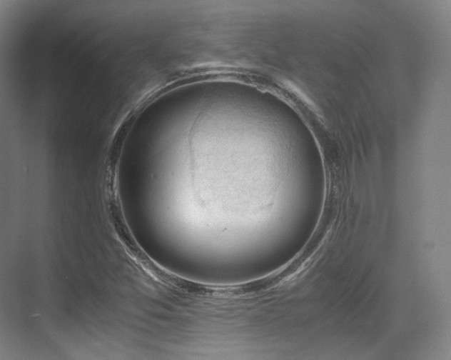X0000075821357200609151201