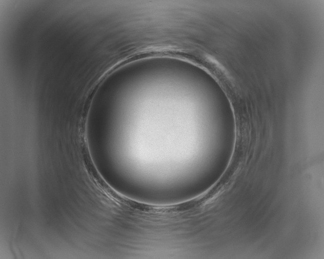 X0000075821361200609151201