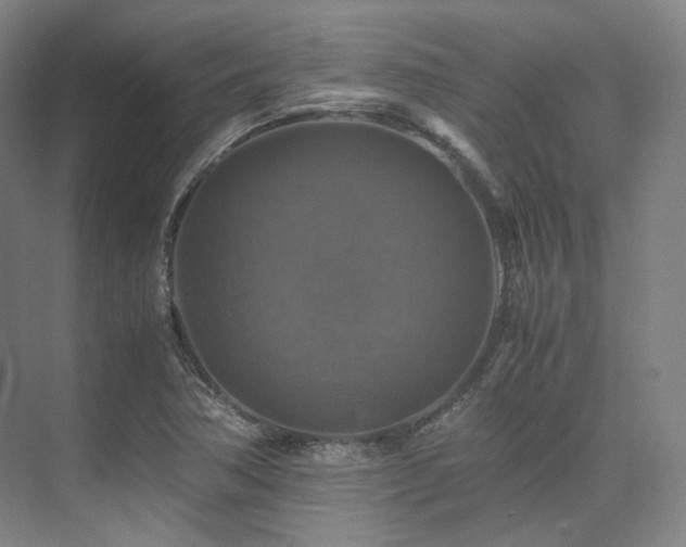 X0000075821362200609151201