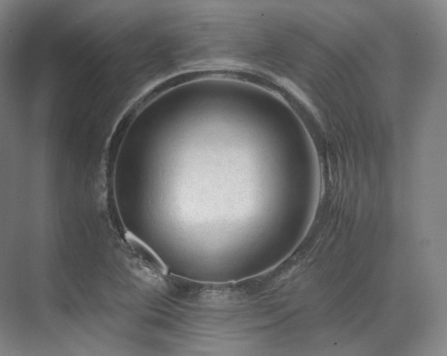 X0000075821364200609151201