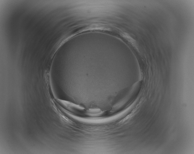 X0000075821369200609151201